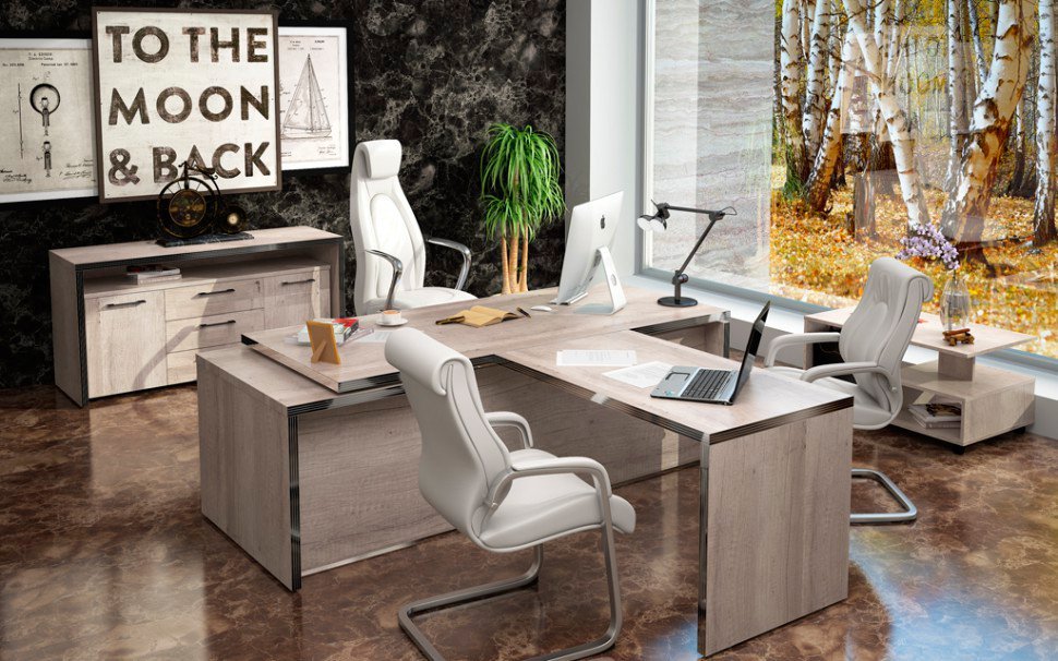 Кабинет для руководителя &laquo;TORR&raquo; - вид 7